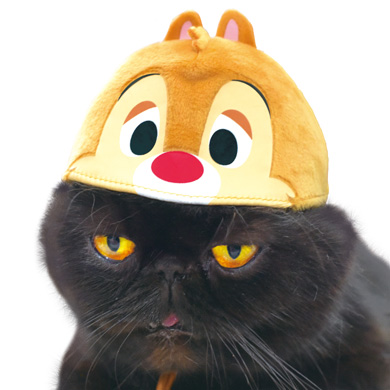 necos/ディズニースタンダードキャラクターズ