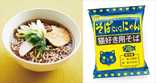 カレーにゃるうどん