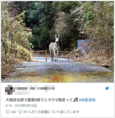 大阪地震デマ注意