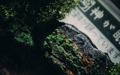 世界最古のテプラ