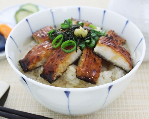 ほぼうなぎ　うなぎ　カマボコ　カネテツ　魚のすり身