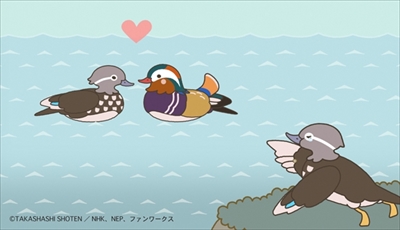 ざんねんないきもの事典アニメ化