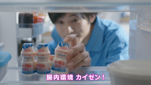 ヤクルト400LT 松坂桃李 乳酸菌 シロタ株 腸内環境