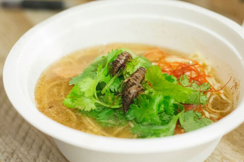 チョーヒカル ゲテモノデート ゲテモノ コオロギラーメン コオロギ80匹 地球少年