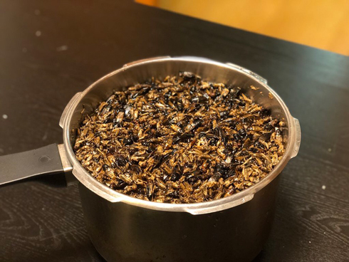 チョーヒカル ゲテモノデート ゲテモノ コオロギラーメン コオロギ80匹 地球少年