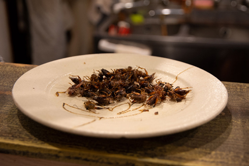 チョーヒカル ゲテモノデート ゲテモノ コオロギラーメン コオロギ80匹 地球少年
