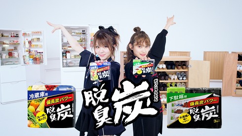 高橋愛 田中れいな モーニング娘。 モー娘。 エステー CM 脱臭炭 プラチナ期