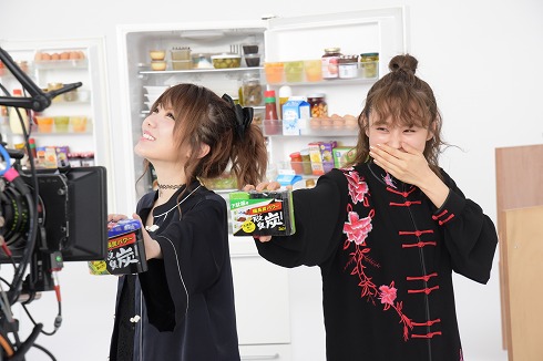 高橋愛 田中れいな モーニング娘。 CM 脱臭炭 プラチナ期