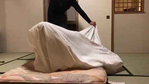 柴犬 まる 布団 敷く 邪魔 仲良し