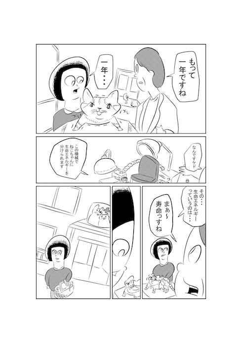 猫に寿命をわける話