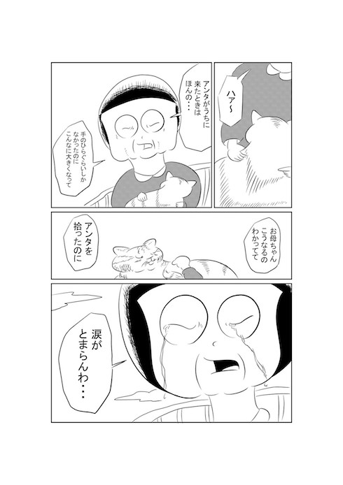 猫に寿命をわける話