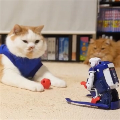 マンチカンズと仲間たち