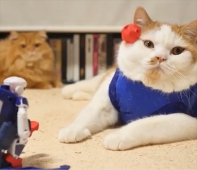 マンチカンズと仲間たち