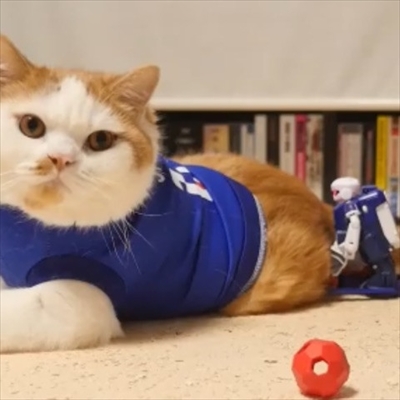 マンチカンズと仲間たち