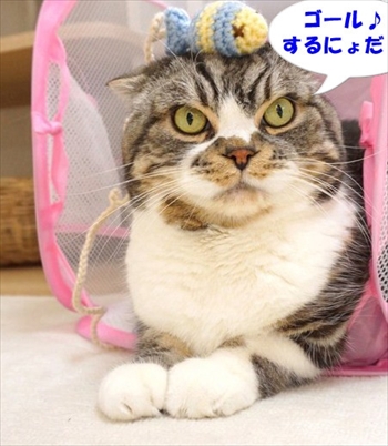 なめネコれおくんピーチくん