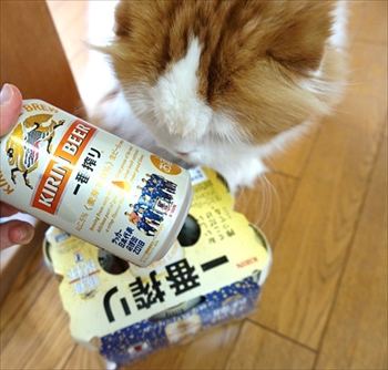 なめネコれおくんピーチくん