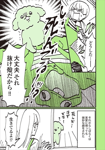 うちのトイプーがアイドルすぎる