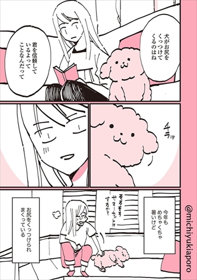 うちのトイプーがアイドルすぎる