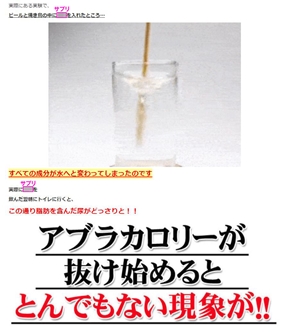 ビール 焼き鳥 溶ける ダイエットサプリ