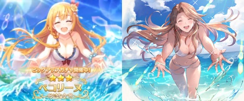 グランブルーファンタジー プリンセスコネクト！Re:Dive 水着 一致 ペコリーヌ カタリナ
