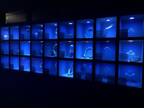 八景島シーパラダイス 横浜 アクアミュージアム 水族館 25周年 リニューアル