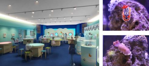 八景島シーパラダイス 横浜 アクアミュージアム 水族館 25周年 リニューアル