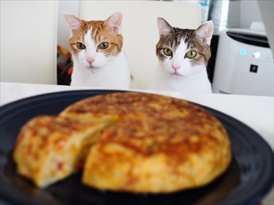 お取り分け猫ごはん