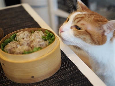 お取り分け猫ごはん