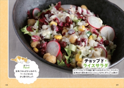 お取り分け猫ごはん