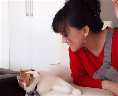 お取り分け猫ごはん