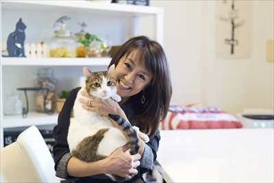 お取り分け猫ごはん