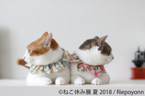 ねこ休み展