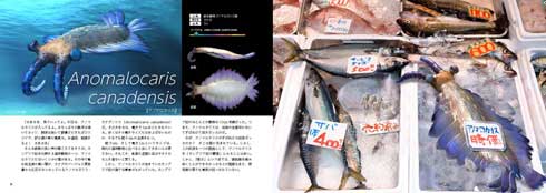 リアルサイズ 古生物 図鑑