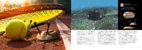 リアルサイズ 古生物 図鑑
