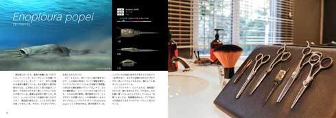 リアルサイズ 古生物 図鑑