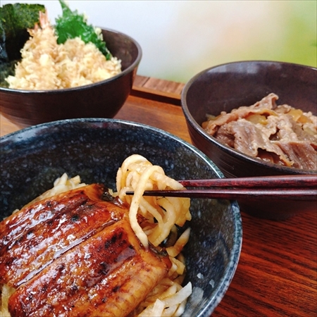 糖質オフ丼