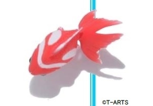 カラクリ金魚