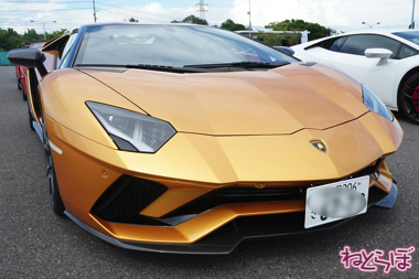 ランボルギーニ スーパートロフェオ ガヤルド アヴェンタドール ウラカン 鈴鹿サーキット