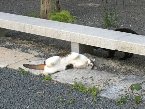 説明