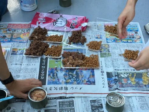 京都大学 猫のご飯