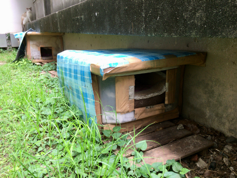 京都大学 ねこハウス