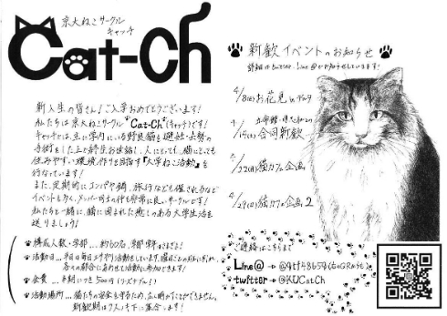 京都大学 猫サークル ビラ