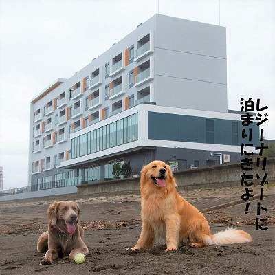 こー君　レジーナリゾート鴨川