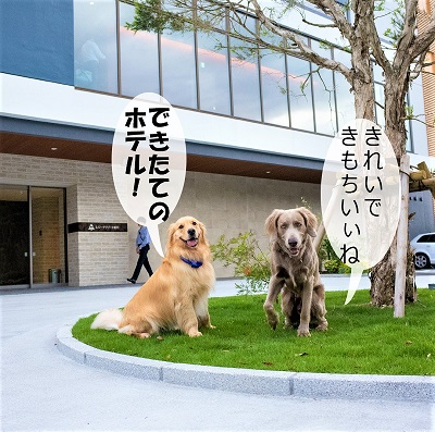 こー君　レジーナリゾート鴨川