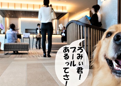 こー君　レジーナリゾート鴨川