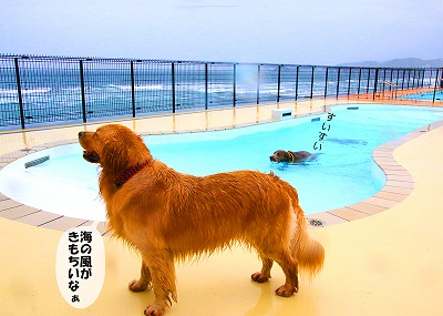 こー君　レジーナリゾート鴨川