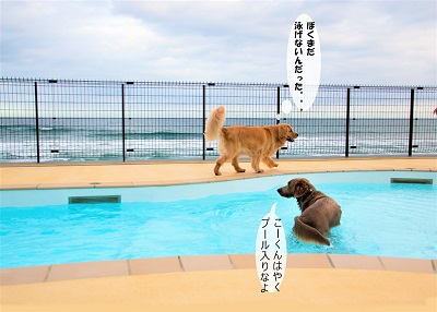 こー君　レジーナリゾート鴨川