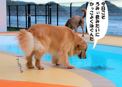 こー君　レジーナリゾート鴨川