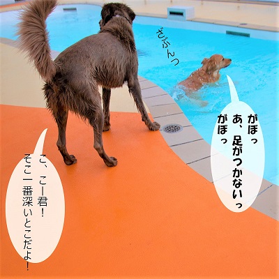 こー君　レジーナリゾート鴨川