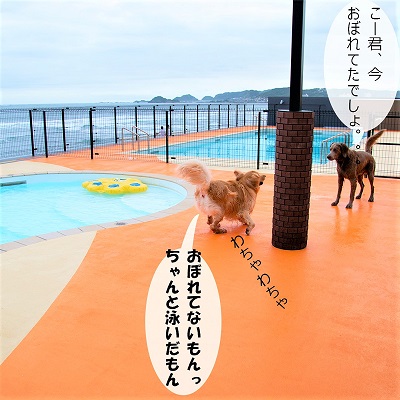 こー君　レジーナリゾート鴨川